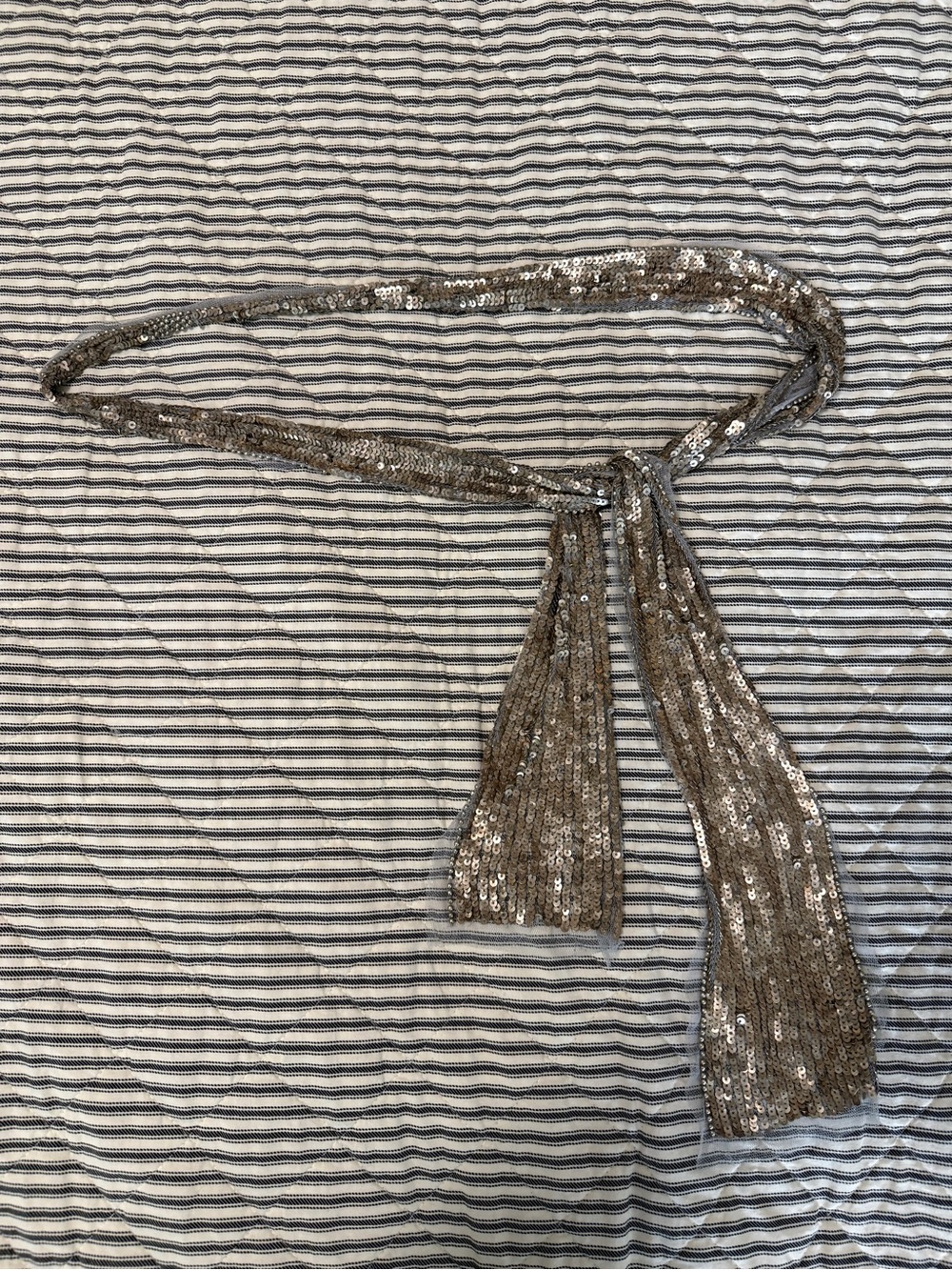 Ann Taylor Metallic Sequin Tie Belt